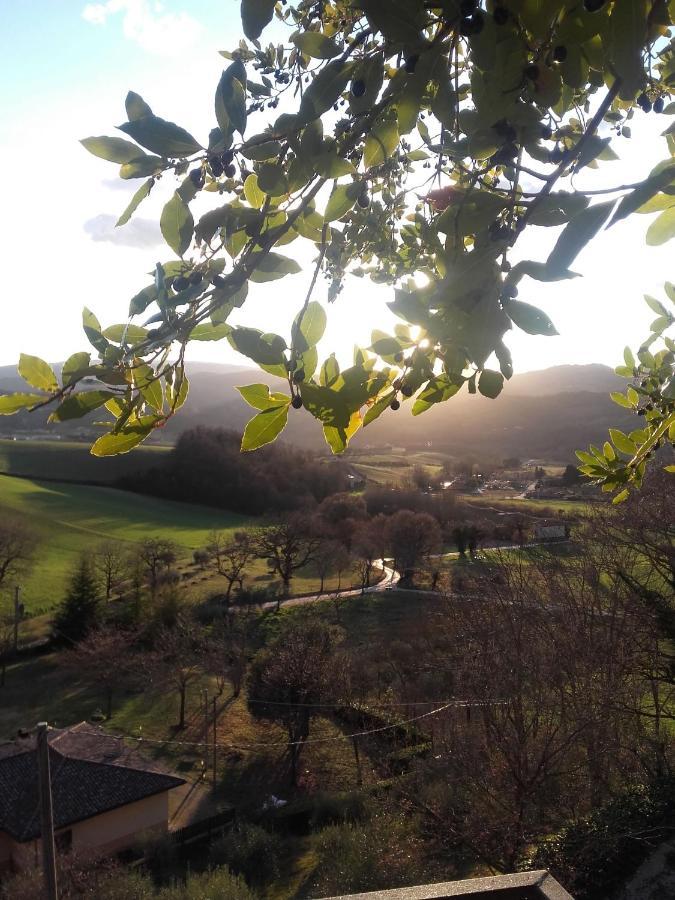 הוילה נוצ'רה אומברה Agriturismo Le Francesche מראה חיצוני תמונה